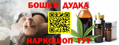 индика Тула
