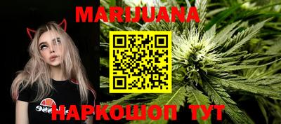 индика Тула