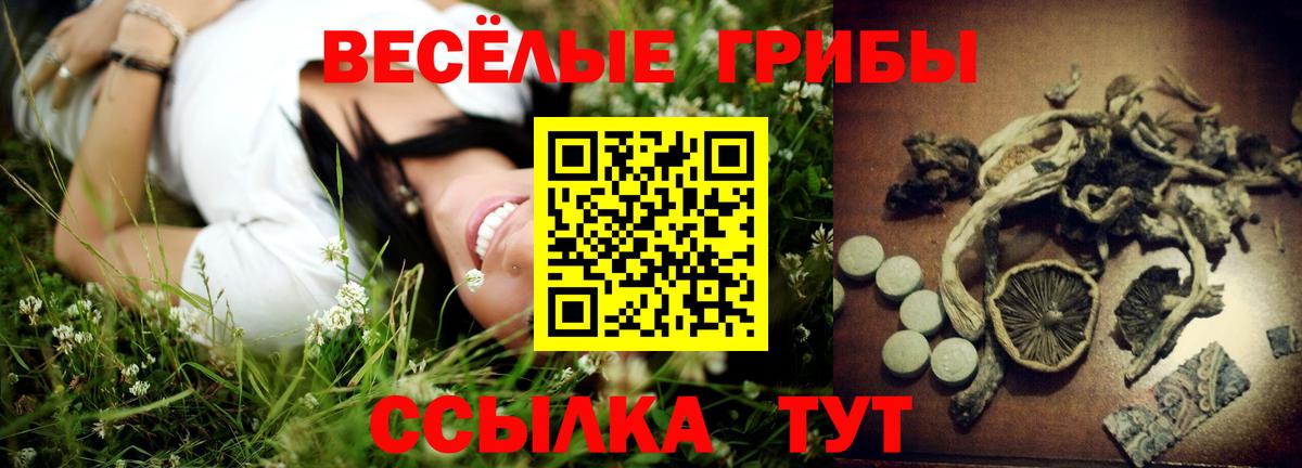 Галлюциногенные грибы Psilocybine cubensis  Псилоцибиновые грибы Cubensis  Углич  Вход с VPN 